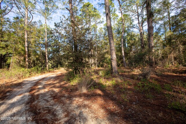 0000 Lake Everett Dr, Melrose, FL 32666