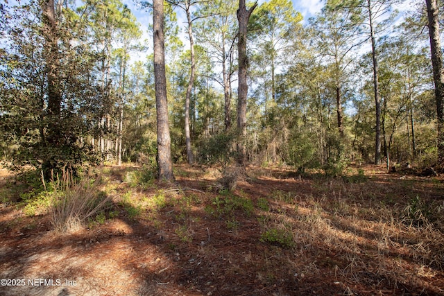 0000 Lake Everett Dr, Melrose, FL 32666