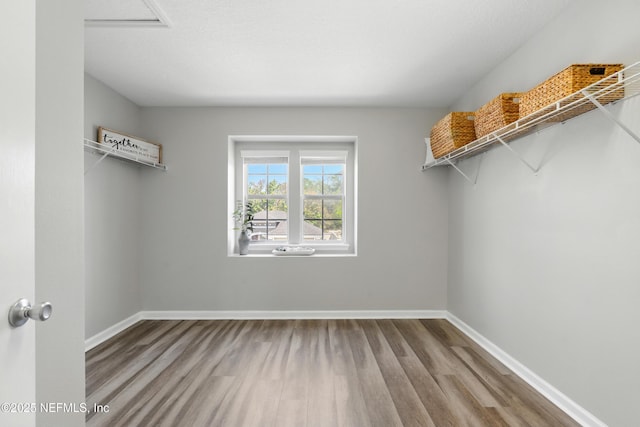 210 Crown Wheel Cir, Saint Johns, FL 32259 - walk in closet with wood finished floors