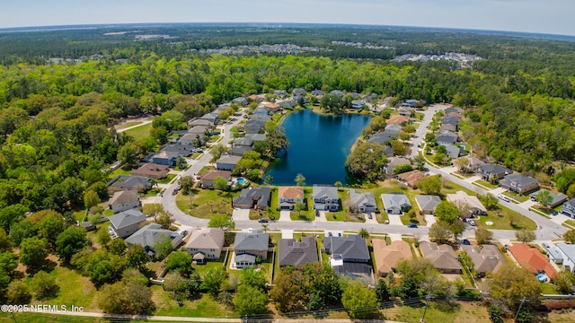 210 Crown Wheel Cir, Saint Johns, FL 32259 - aerial perspective of suburban area with a forest and a large body of water