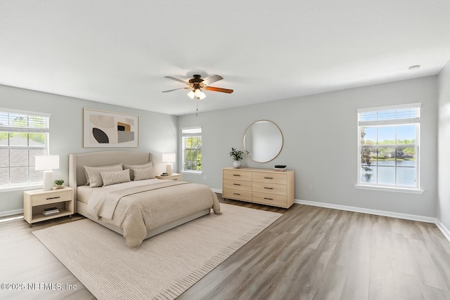 210 Crown Wheel Cir, Saint Johns, FL 32259 - bedroom featuring multiple windows, wood finished floors, and ceiling fan