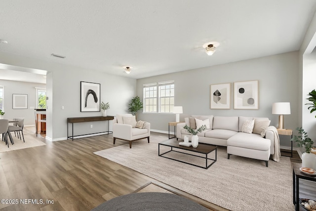 210 Crown Wheel Cir, Saint Johns, FL 32259 - living room featuring plenty of natural light and wood finished floors