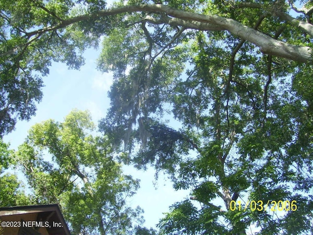 717 Virginia St, Jacksonville, FL 32208 - photo 30