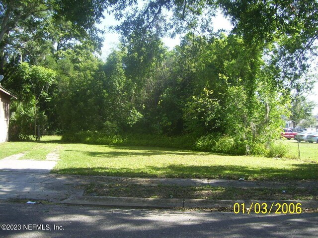 717 Virginia St, Jacksonville, FL 32208 - photo 31