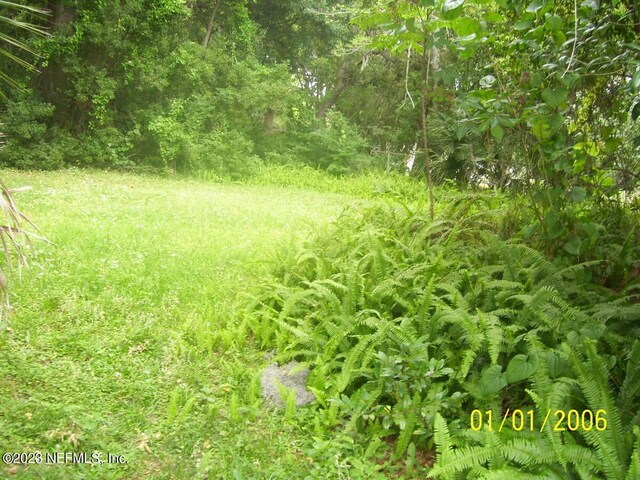 717 Virginia St, Jacksonville, FL 32208 - photo 35
