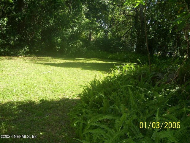 717 Virginia St, Jacksonville, FL 32208 - photo 36