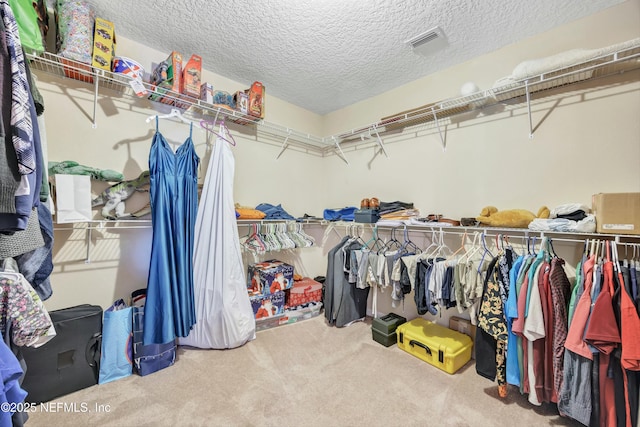 3520 Oglebay Dr, Green Cove Springs, FL 32043 - photo 22