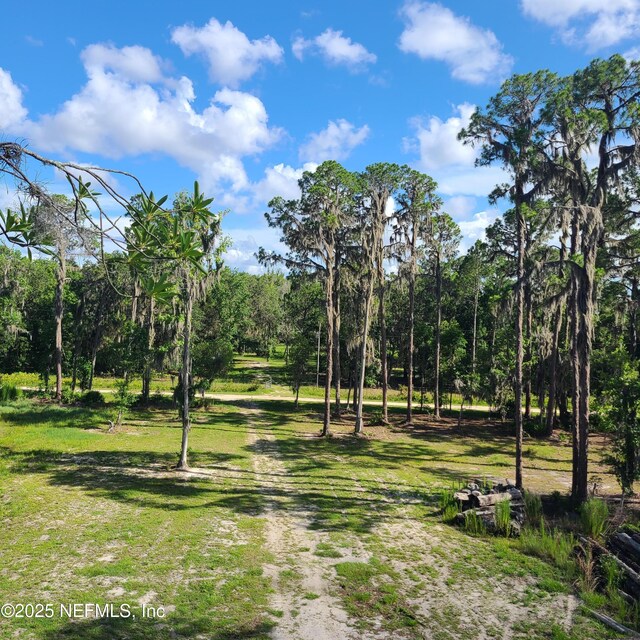 212 Atkins Rd, Georgetown, FL 32139 - photo 1