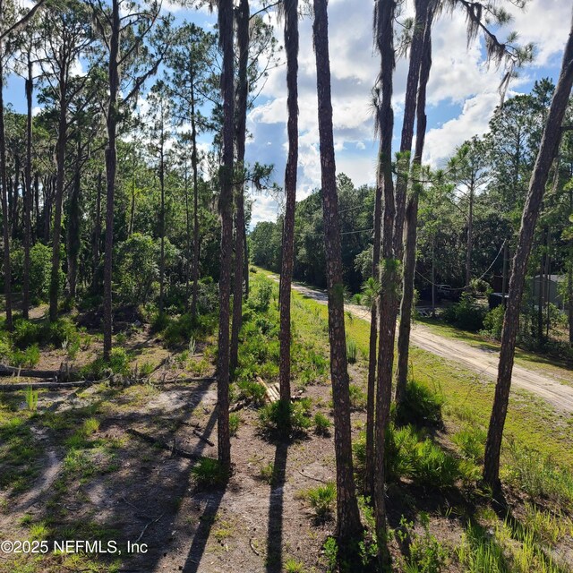 212 Atkins Rd, Georgetown, FL 32139 - photo 2