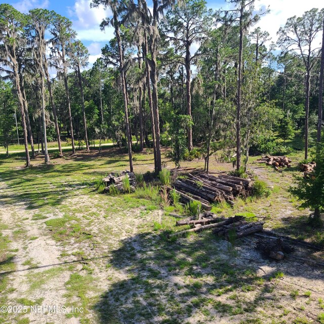 212 Atkins Rd, Georgetown, FL 32139 - photo 4