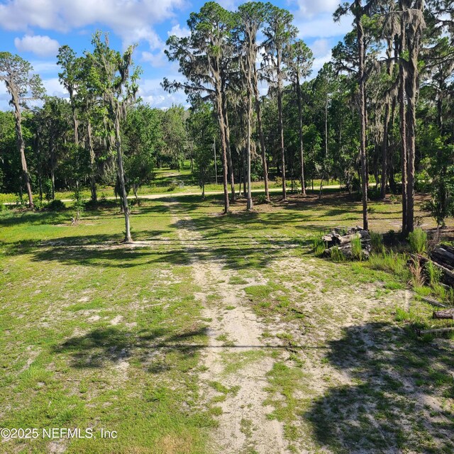 212 Atkins Rd, Georgetown, FL 32139 - photo 3