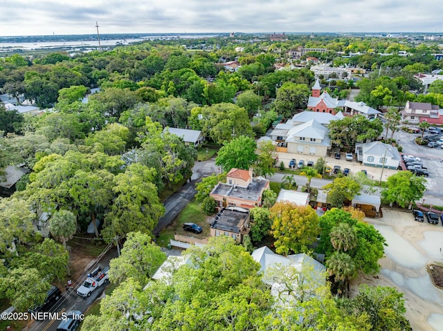 bird's eye view