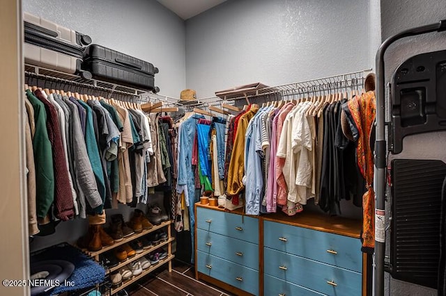 10961 Burnt Mill Rd Unit 321, Jacksonville, FL 32256 - walk in closet featuring dark wood-type flooring