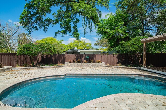4245 Davinci Ave, Jacksonville, FL 32210 - view of pool with a fenced in pool, a patio, and a fenced backyard