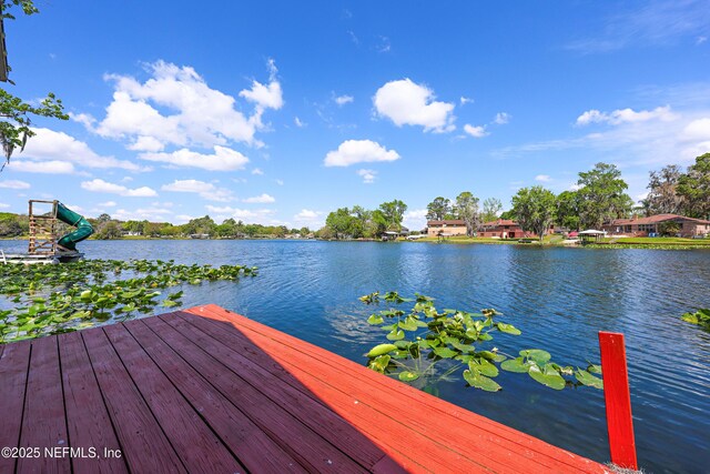 245 Cokesbury Ct, Green Cove Springs, FL 32043 - photo 43