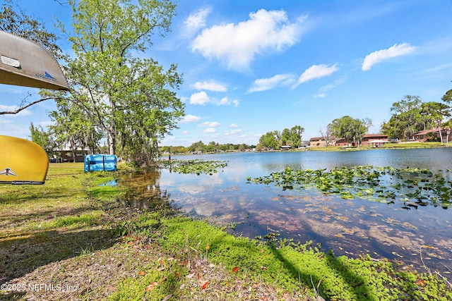 245 Cokesbury Ct, Green Cove Springs, FL 32043 - photo 45