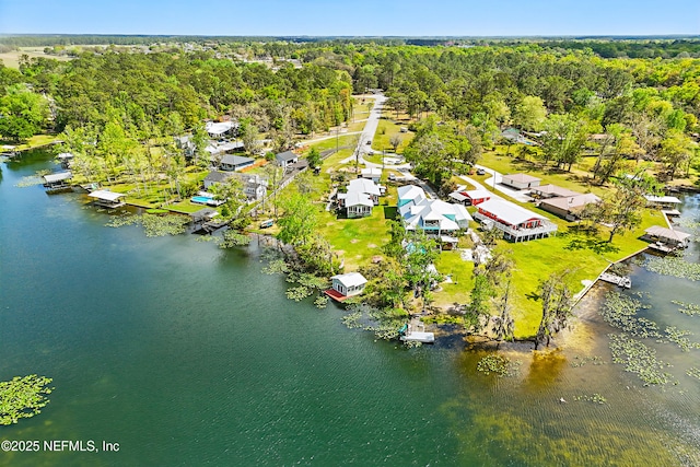 245 Cokesbury Ct, Green Cove Springs, FL 32043 - photo 48