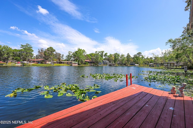 245 Cokesbury Ct, Green Cove Springs, FL 32043 - photo 44