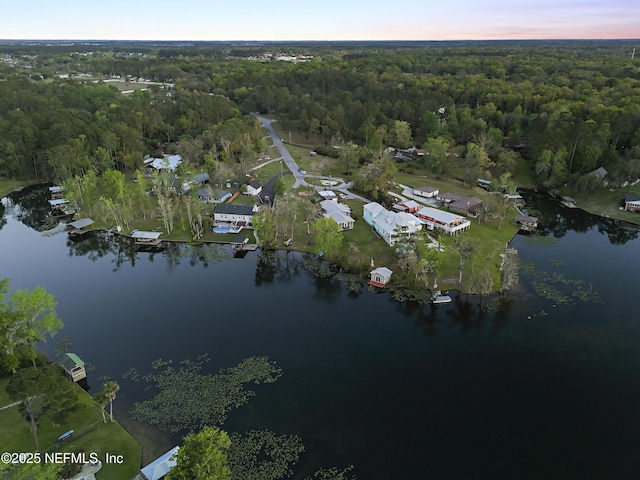 245 Cokesbury Ct, Green Cove Springs, FL 32043 - photo 66