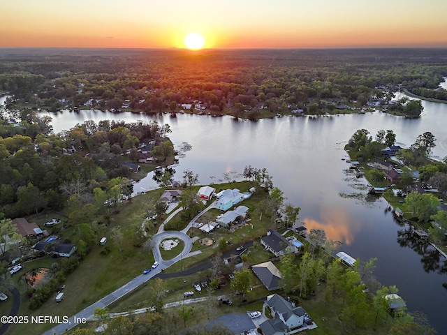 245 Cokesbury Ct, Green Cove Springs, FL 32043 - photo 71