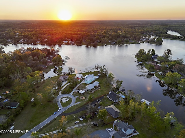 245 Cokesbury Ct, Green Cove Springs, FL 32043 - photo 75