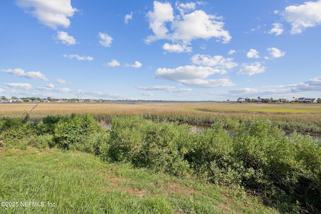 3387 Lighthouse Point Ln, Jacksonville, FL 32250 - view of landscape featuring a rural view