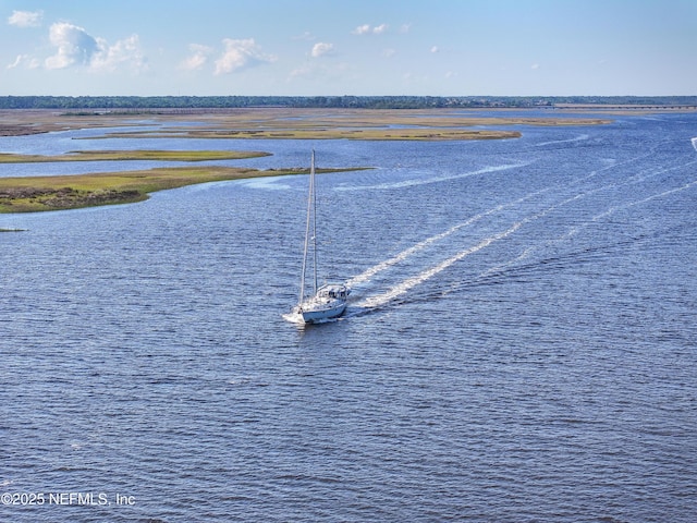 3387 Lighthouse Point Ln, Jacksonville, FL 32250 - water view