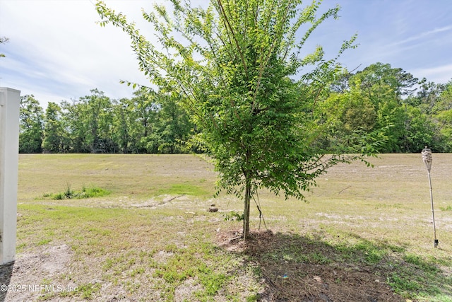 856 Rotary Rd, Jacksonville, FL 32211 - photo 44