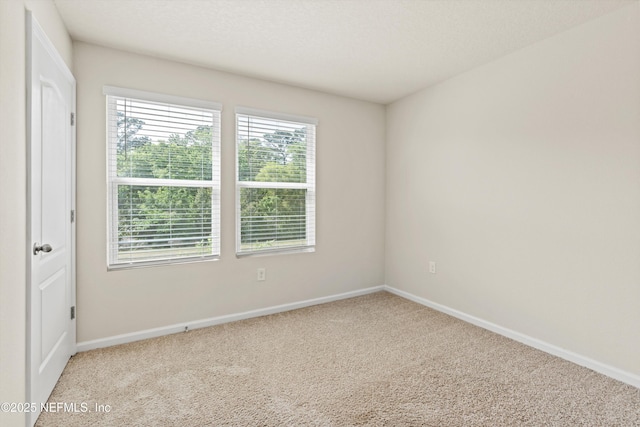 856 Rotary Rd, Jacksonville, FL 32211 - photo 26