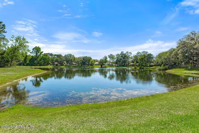 3476 Hickory Landing Ct, Jacksonville, FL 32226 - photo 62