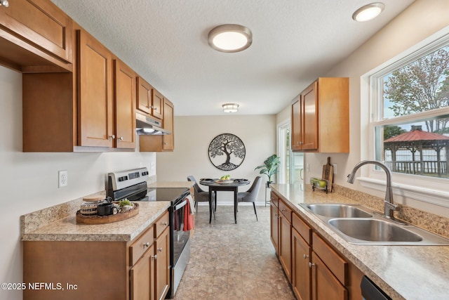 kitchen with under cabinet range hood, a sink, a healthy amount of sunlight, and stainless steel electric stove