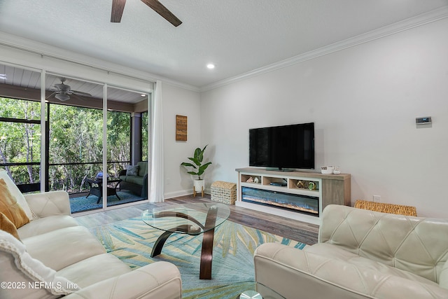 699 Aspen Leaf Dr, Jacksonville, FL 32081 - living room with a ceiling fan, ornamental molding, baseboards, and wood finished floors