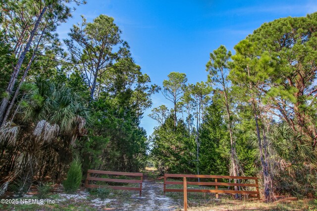 699 Aspen Leaf Dr, Jacksonville, FL 32081 - surrounding community featuring fence