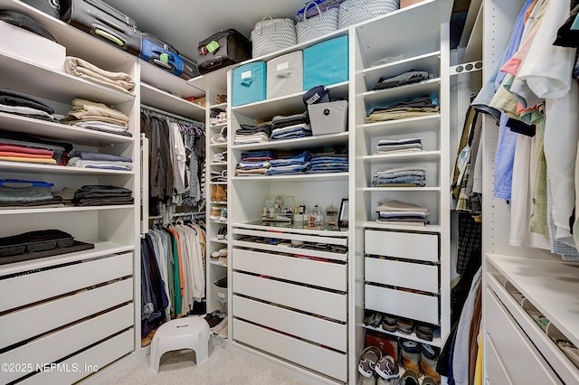 598 Marquesa Cir, Saint Johns, FL 32259 - view of walk in closet