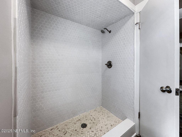 1967 Sussex Dr S, Orange Park, FL 32073 - bathroom with a tile shower
