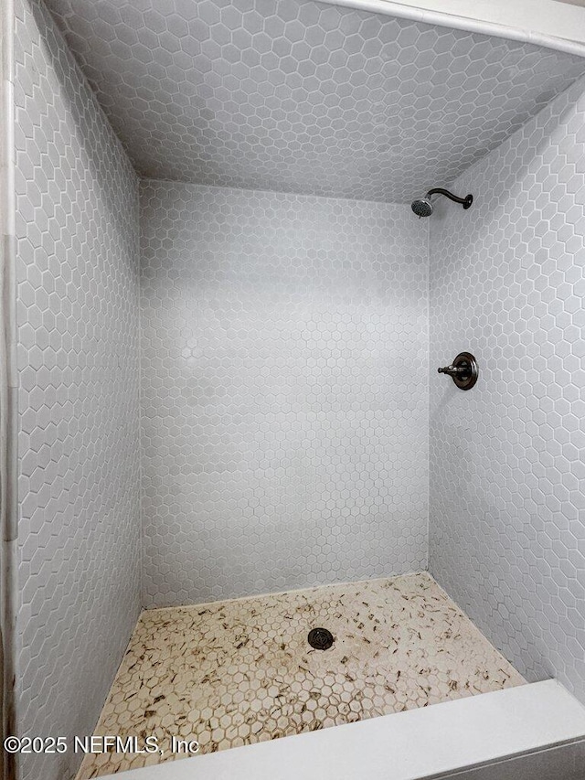 1967 Sussex Dr S, Orange Park, FL 32073 - full bath featuring a tile shower