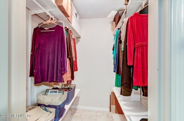 10961 Burnt Mill Rd Unit 1428, Jacksonville, FL 32256 - view of spacious closet