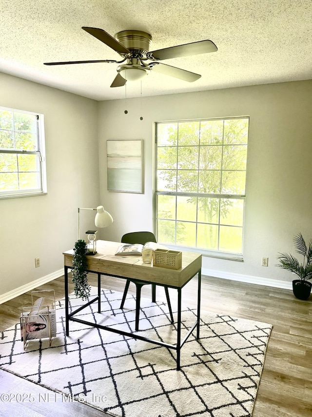 2807 Paces Ferry Rd S, Orange Park, FL 32073 - photo 33