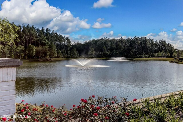 64 Whirlaway Ct, Saint Johns, FL 32259 - water view with a forest