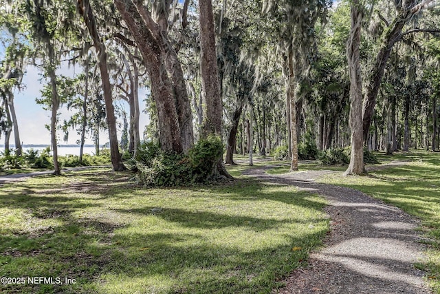 64 Whirlaway Ct, Saint Johns, FL 32259 - view of green lawn with a water view