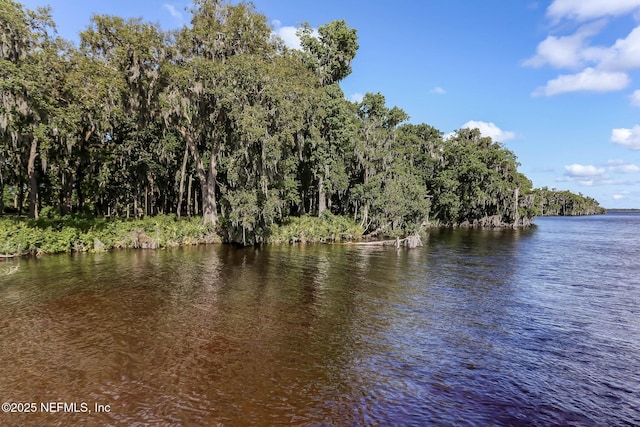 64 Whirlaway Ct, Saint Johns, FL 32259 - water view