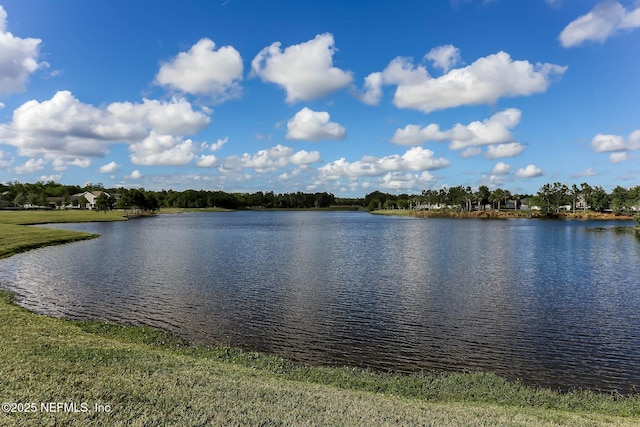 64 Whirlaway Ct, Saint Johns, FL 32259 - water view