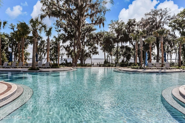 64 Whirlaway Ct, Saint Johns, FL 32259 - view of community pool