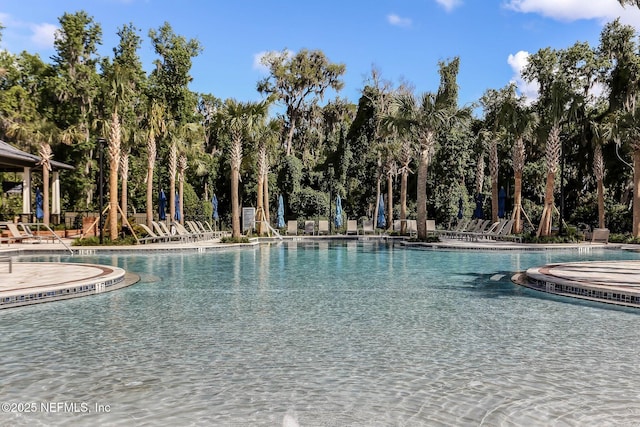 64 Whirlaway Ct, Saint Johns, FL 32259 - community pool with view of wooded area and a patio