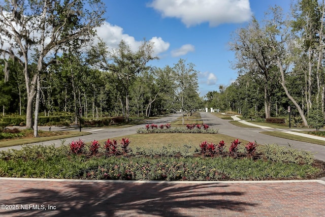 64 Whirlaway Ct, Saint Johns, FL 32259 - view of home's community featuring view of wooded area