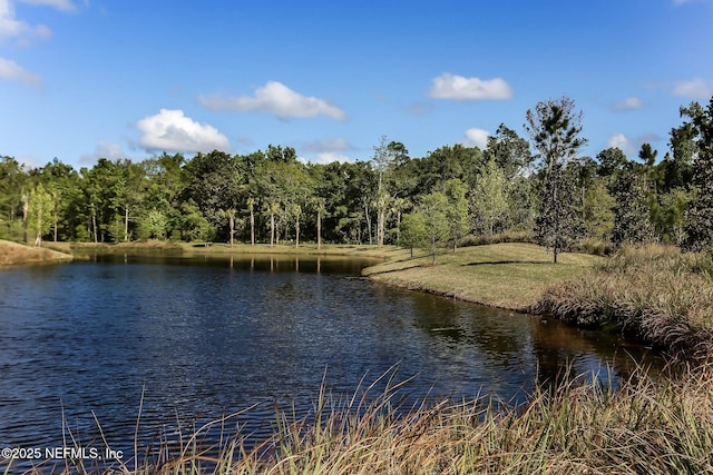 64 Whirlaway Ct, Saint Johns, FL 32259 - water view featuring a forest