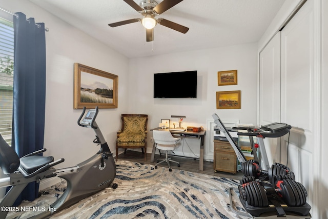 64 Whirlaway Ct, Saint Johns, FL 32259 - workout room featuring a ceiling fan, wood finished floors, and baseboards
