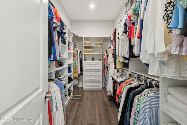 64 Whirlaway Ct, Saint Johns, FL 32259 - walk in closet featuring dark wood finished floors
