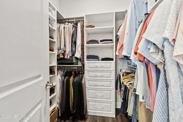 64 Whirlaway Ct, Saint Johns, FL 32259 - spacious closet with wood finished floors