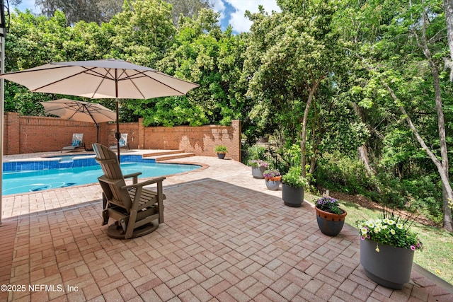 1053 Anchor Rd, Saint Johns, FL 32259 - view of pool with a fenced backyard, a pool with connected hot tub, and a patio